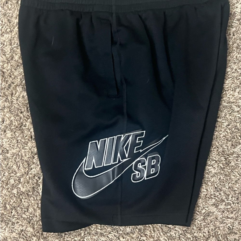 Nike sb shorts Large